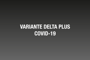 Variante Delta Plus Covid-19